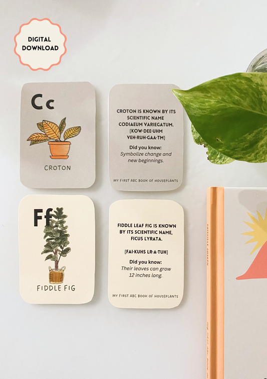 Printable Houseplant Flashcards for Kids | Nature-Themed Learning Cards | Montessori & Homeschool Activity