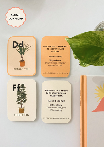 Printable Houseplant Flashcards for Kids | Nature-Themed Learning Cards | Montessori & Homeschool Activity