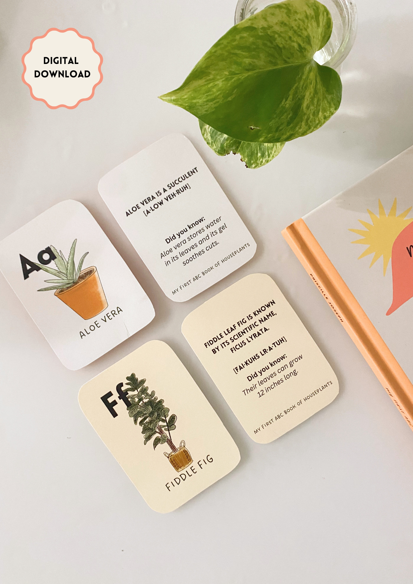 Printable Houseplant Flashcards for Kids | Nature-Themed Learning Cards | Montessori & Homeschool Activity