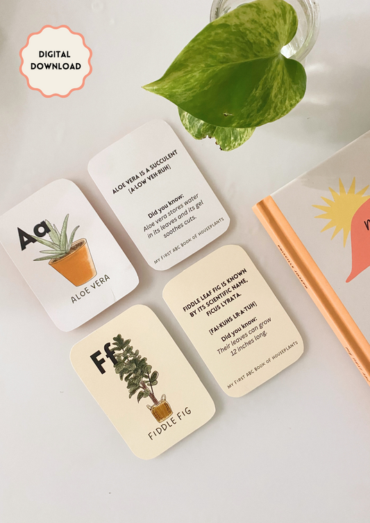 Printable Houseplant Flashcards for Kids | Nature-Themed Learning Cards | Montessori & Homeschool Activity