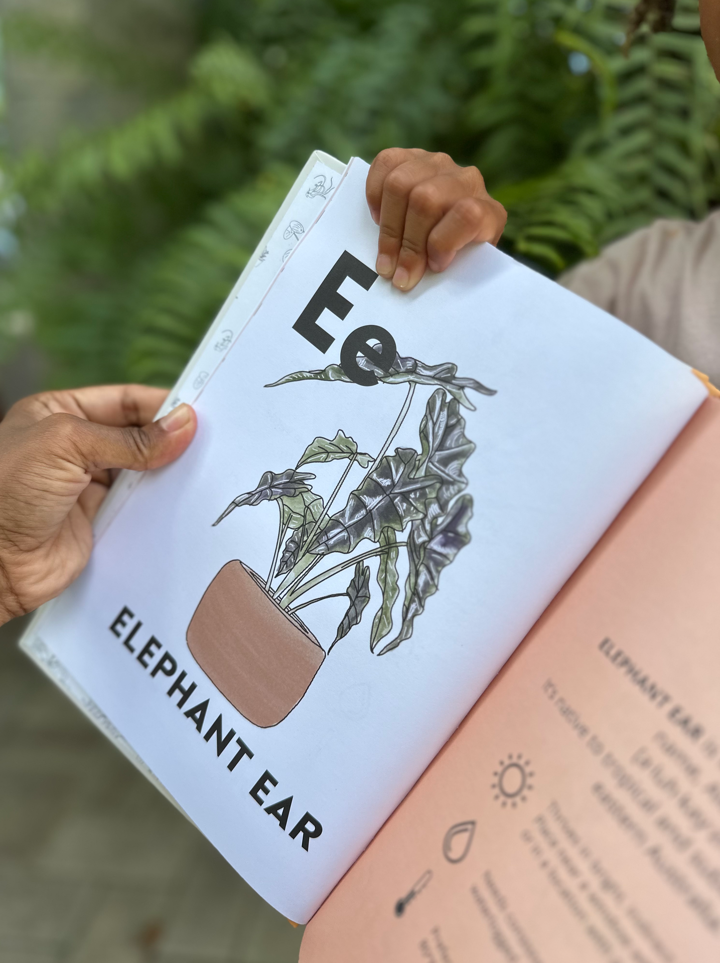 My First ABC Book of Houseplants: Exclusive Edition (Printed in Ottawa, Canada)