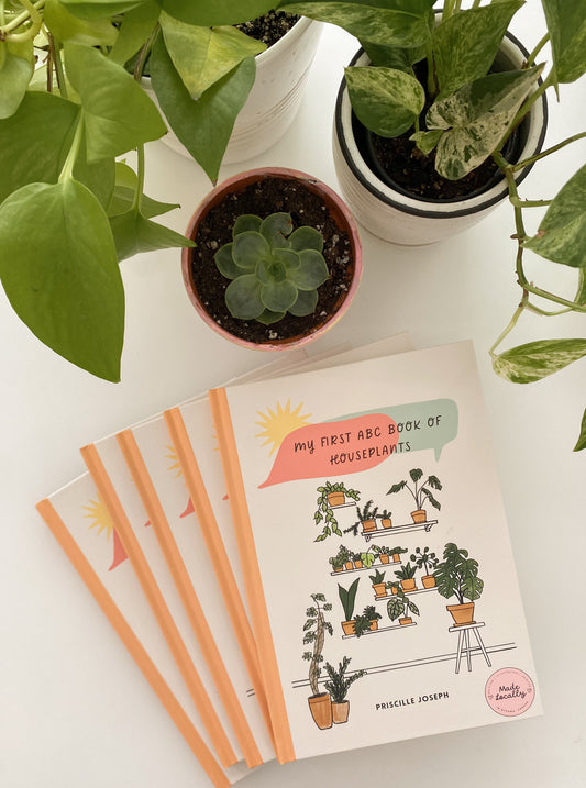 CLASSROOM BUNDLE: My First ABC Book of Houseplants
