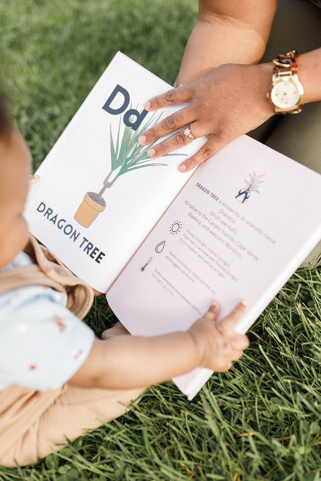 My First ABC Book of Houseplants: Exclusive Edition (Printed in Ottawa, Canada)